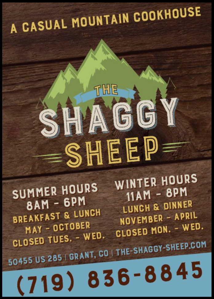 The Shaggy Sheep